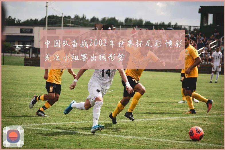 中国队备战2002年世界杯足彩 博彩关注小组赛出线形势